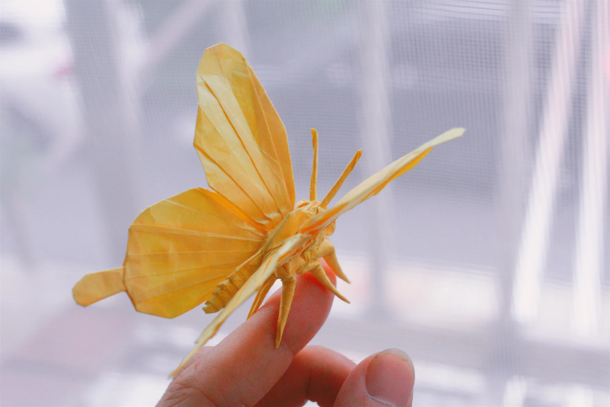 Butterfly by Tony Wang , Photodiagrams step by step. 140+steps - Image 3