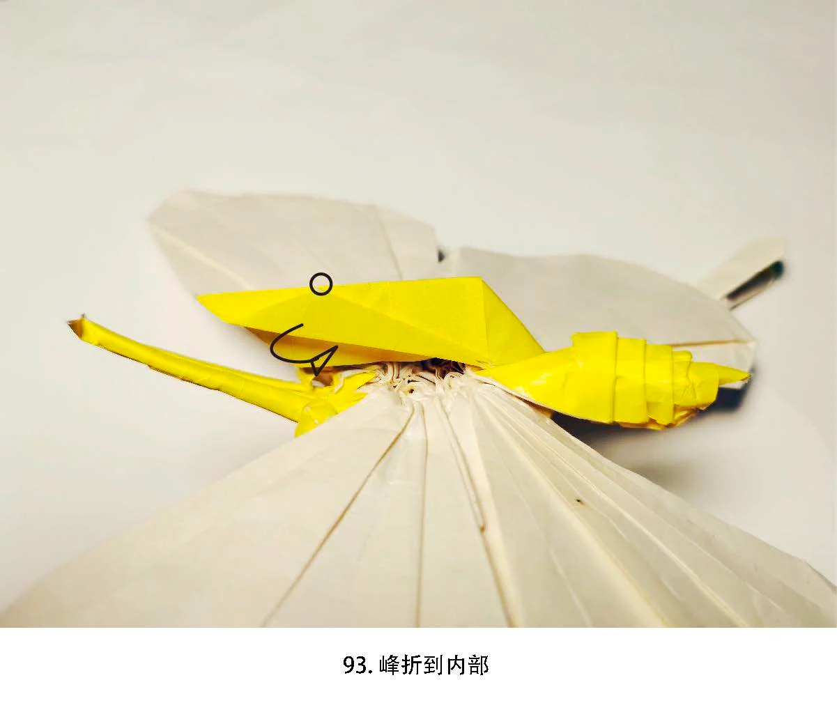 Butterfly by Tony Wang , Photodiagrams step by step. 140+steps - Image 7