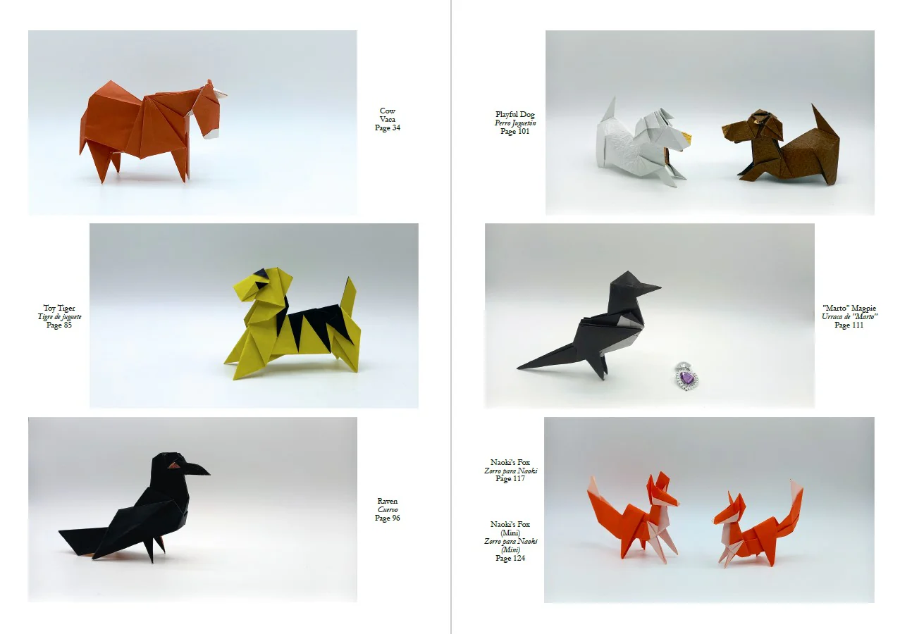 vol14 Crease Crazy by oriol esteve  Nicolas origami-shop books - Image 4