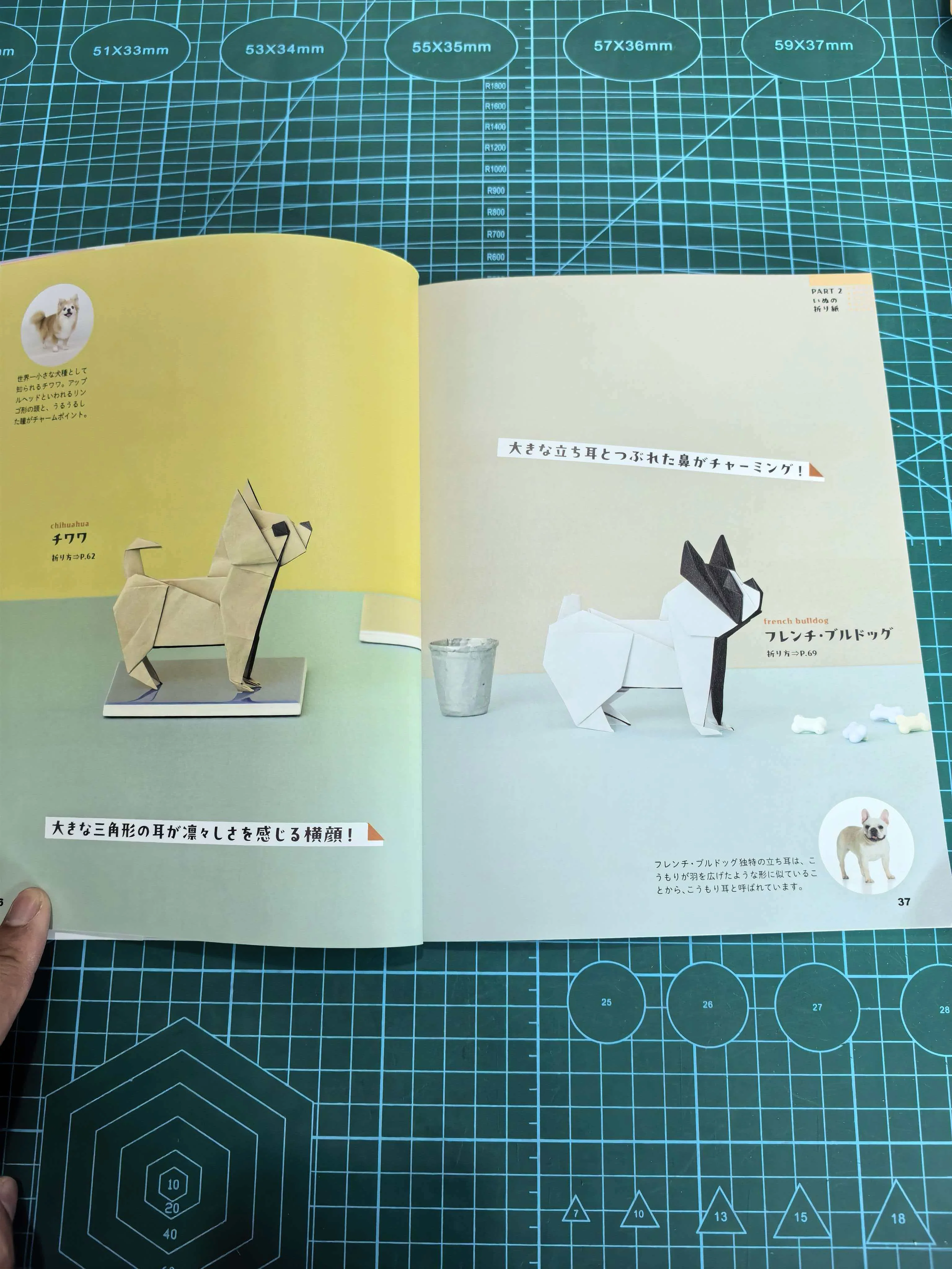 Easy cat and dog  book - Image 11