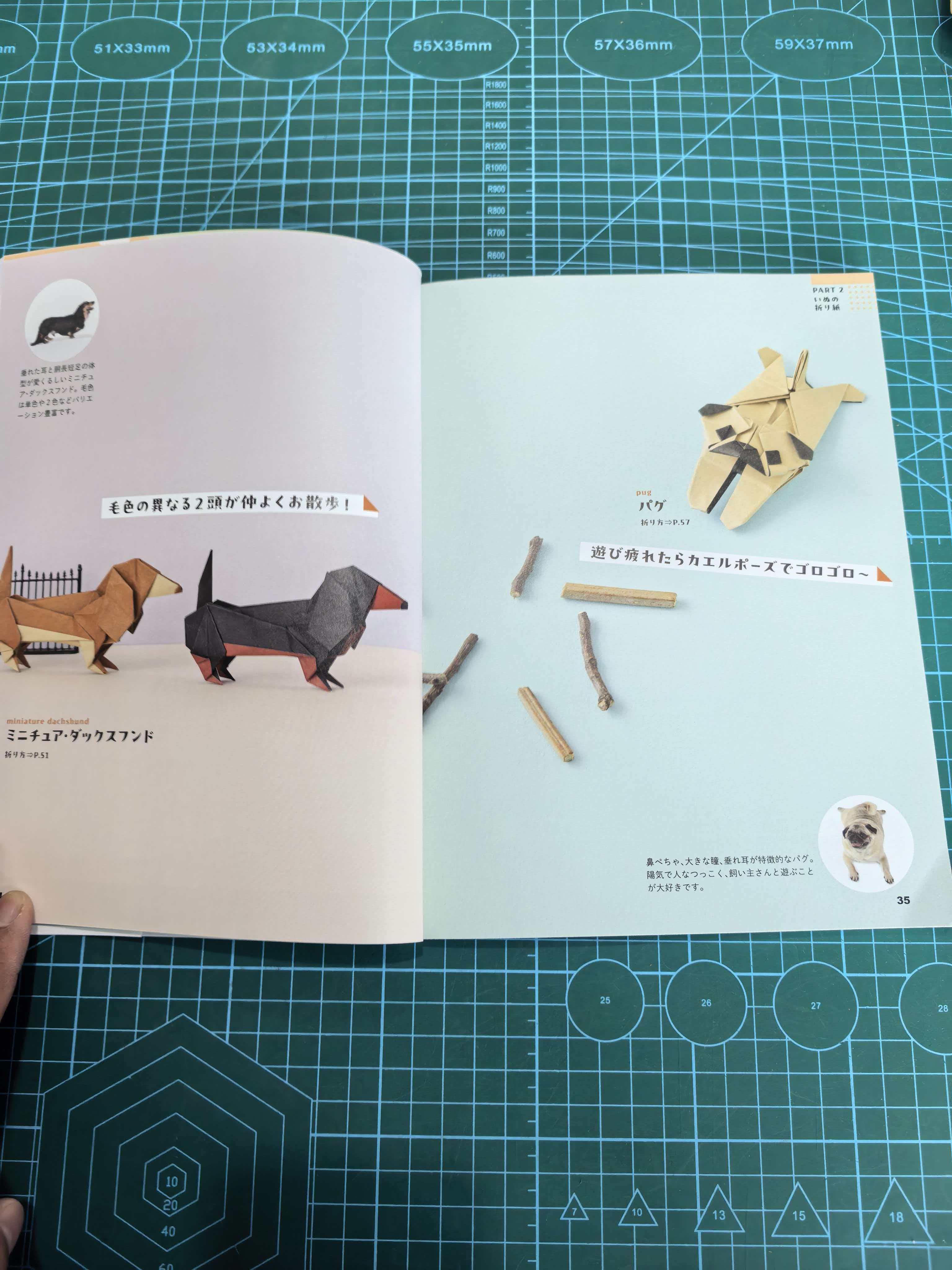Easy cat and dog  book - Image 12