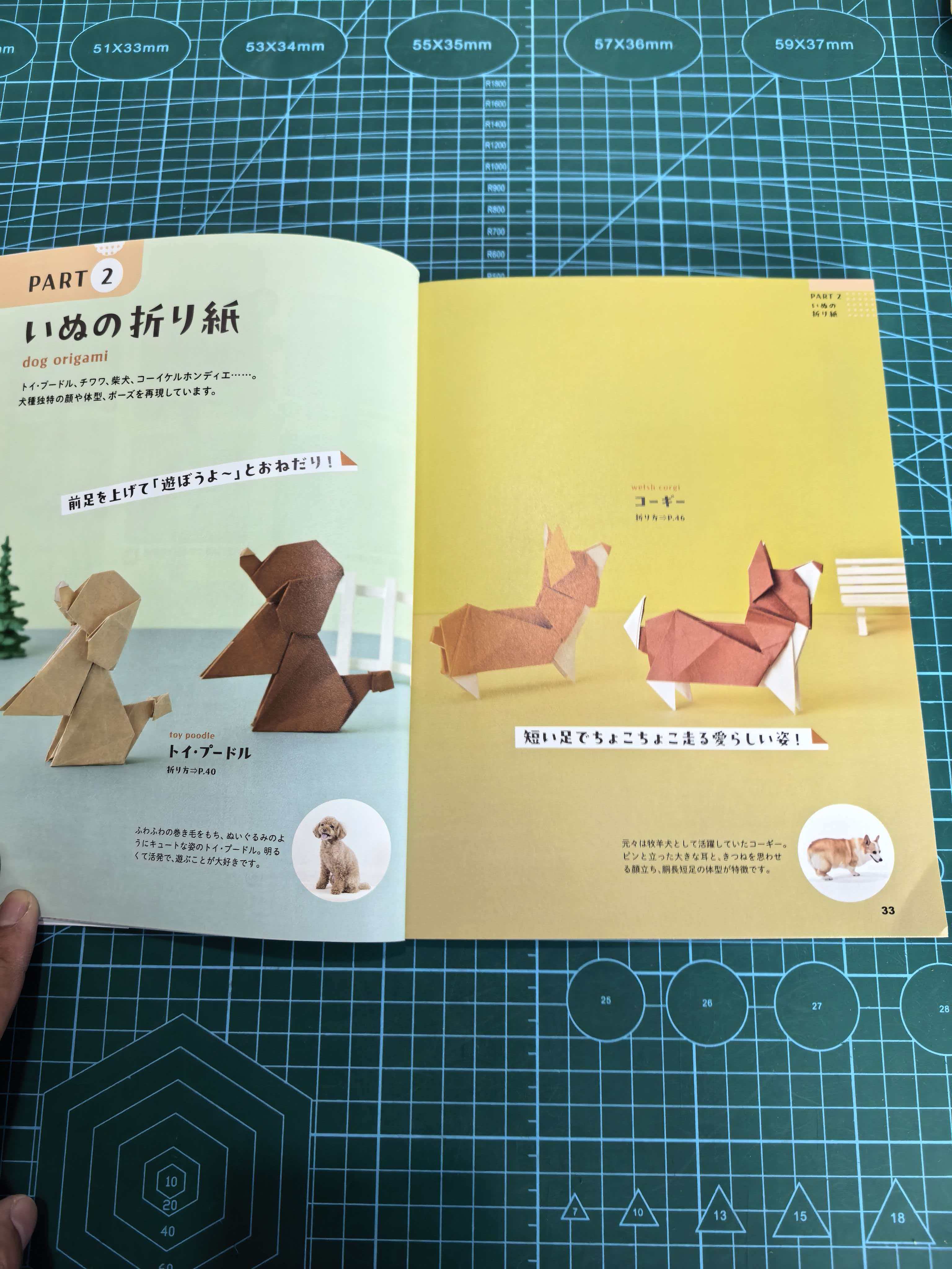 Easy cat and dog  book - Image 13