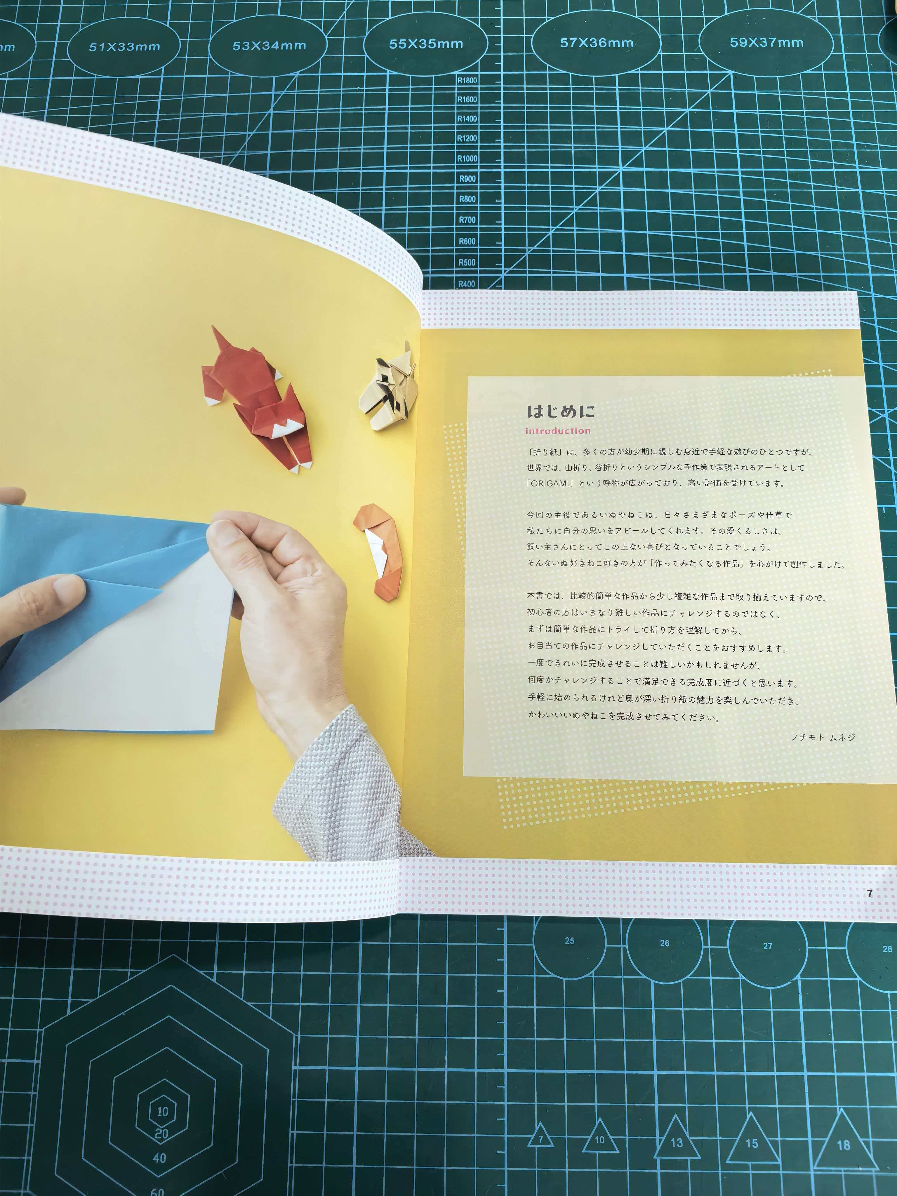 Easy cat and dog  book - Image 5