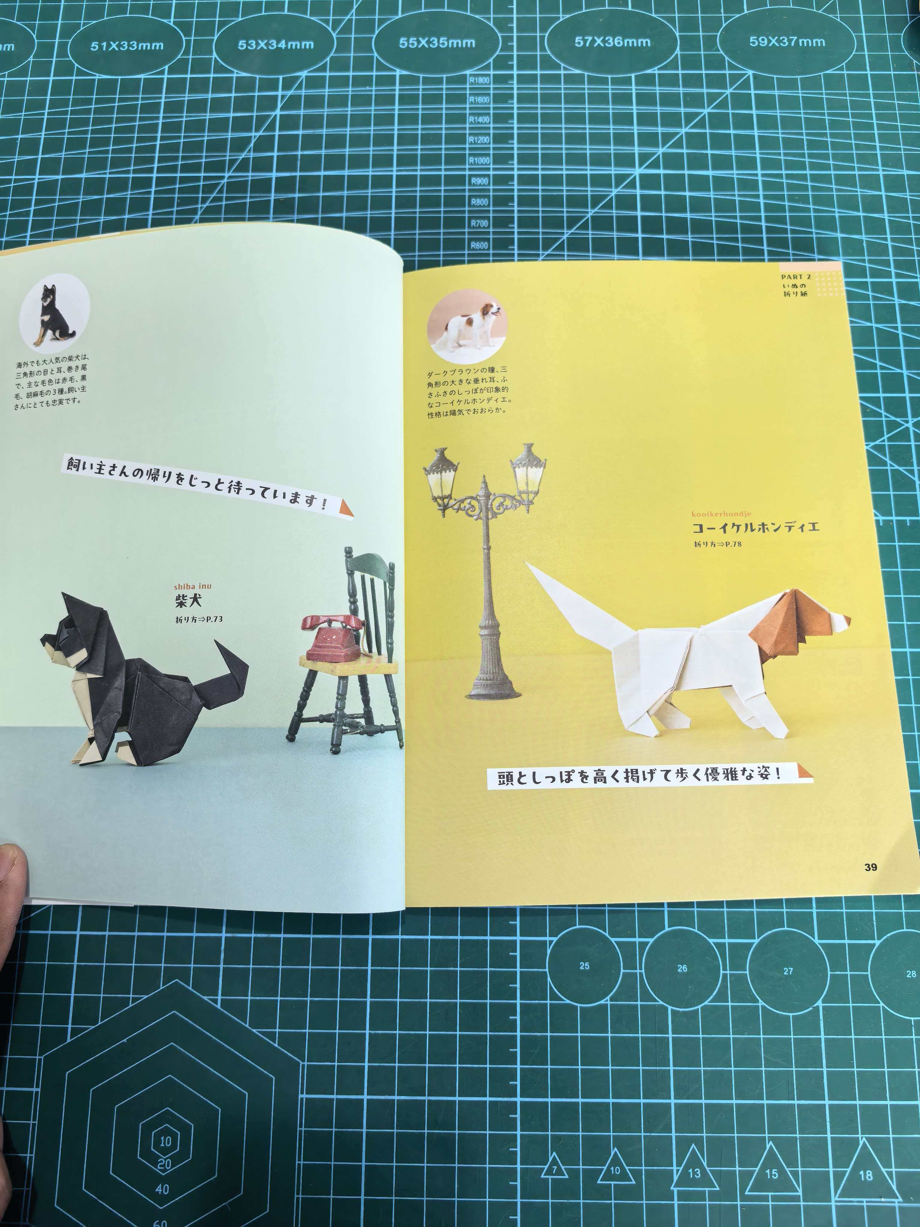 Easy cat and dog  book - Image 6