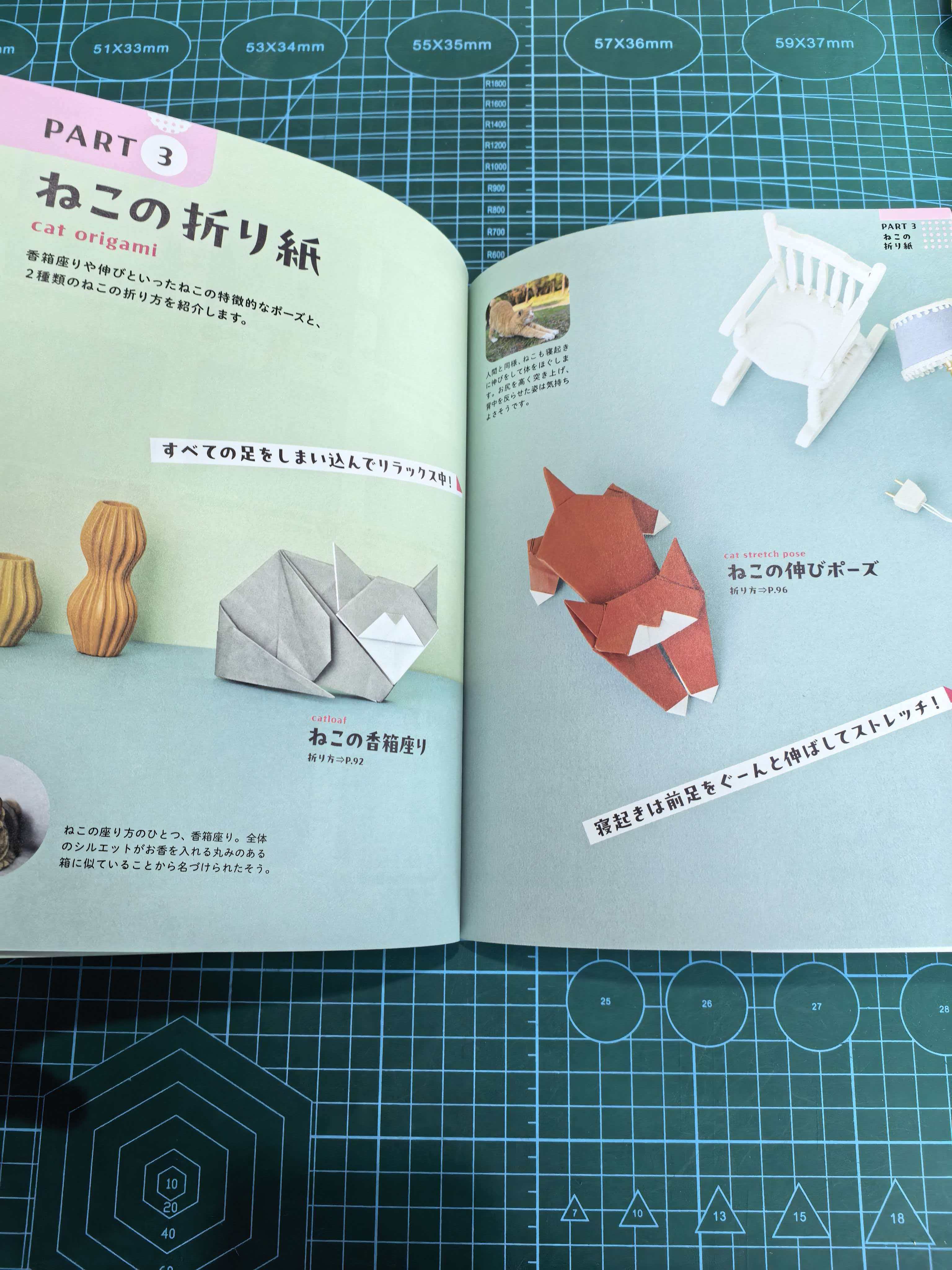 Easy cat and dog  book - Image 7