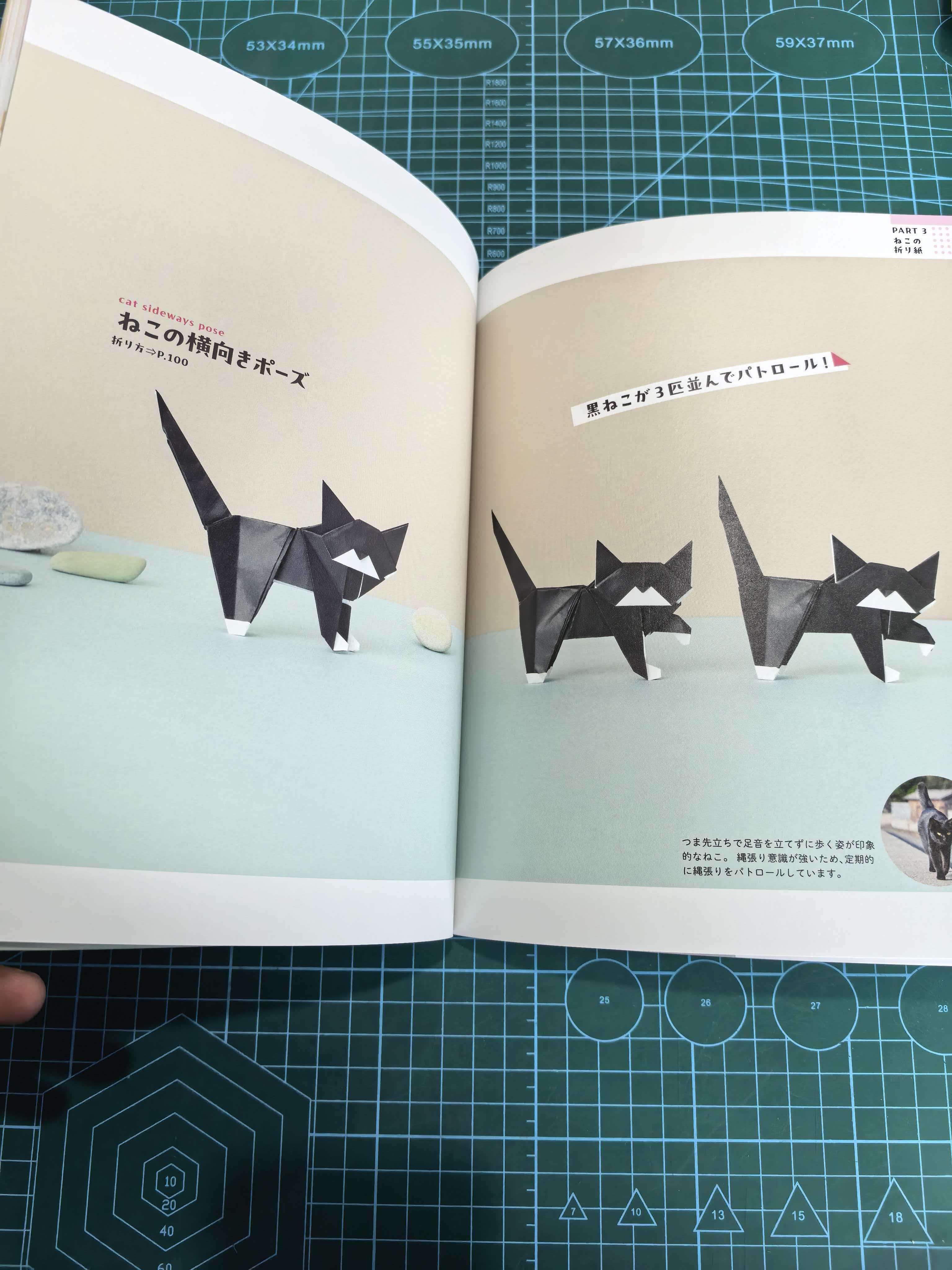 Easy cat and dog  book - Image 8
