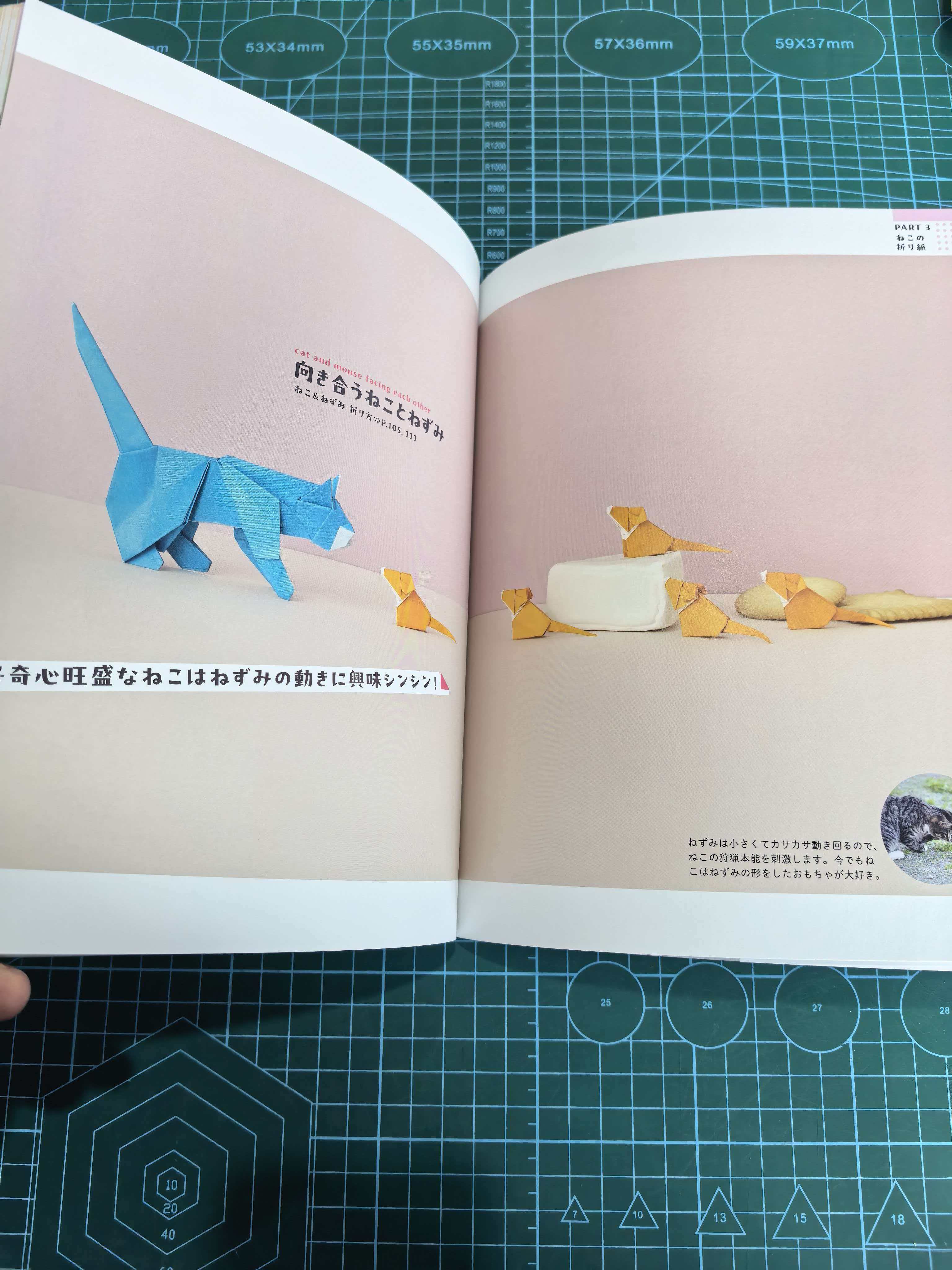 Easy cat and dog  book - Image 9