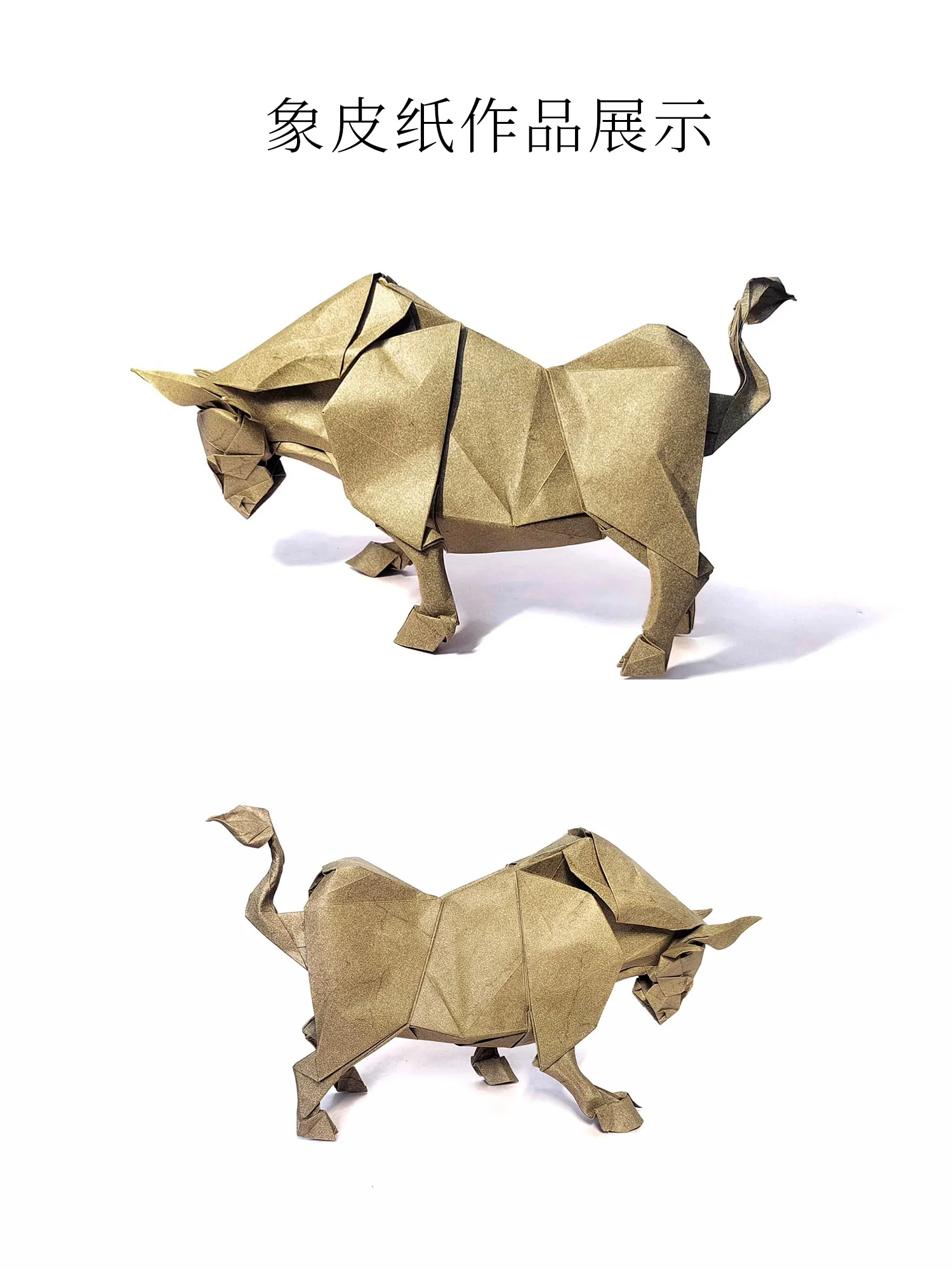 elephant hide paper  IVORY - Image 4