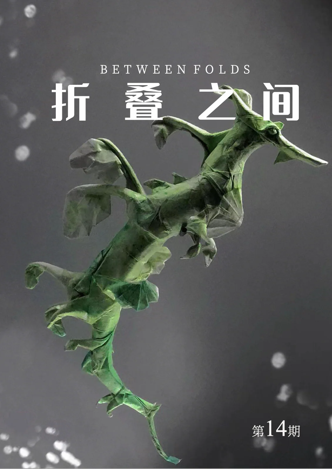 Magazines by SAOC From No.13 To No.22 2024 total 10 copies - Image 9