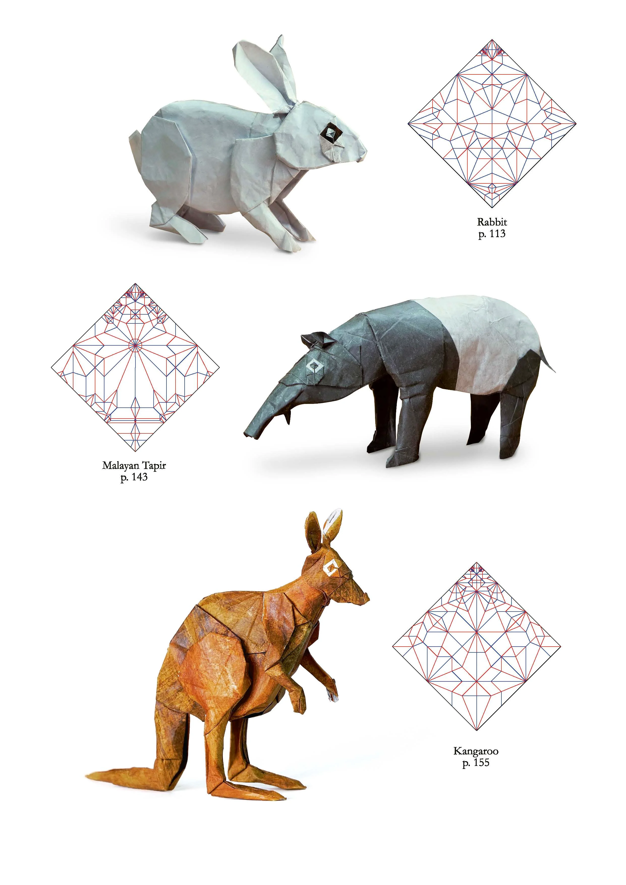 Origami life by Sampreet Manna From Nicolas Terry origami shop - Image 5