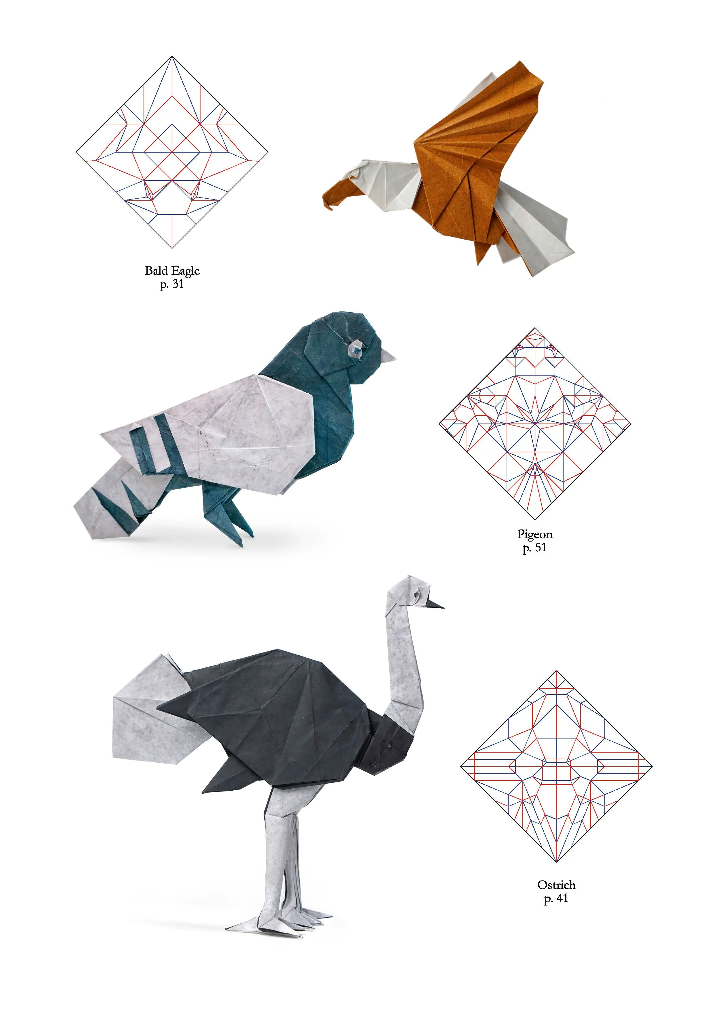 Origami life by Sampreet Manna From Nicolas Terry origami shop - Image 7