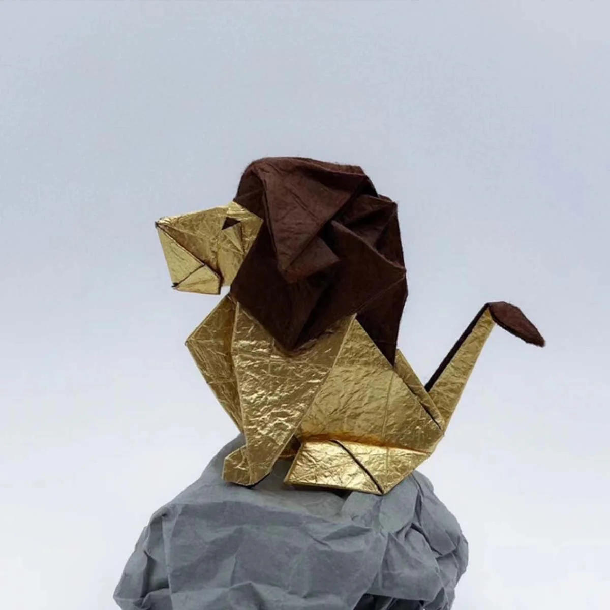 PACK DELUXE WASHI - Image 3