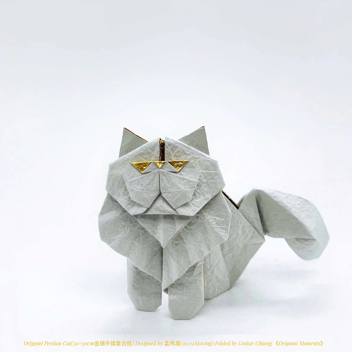 PACK DELUXE WASHI - Image 4