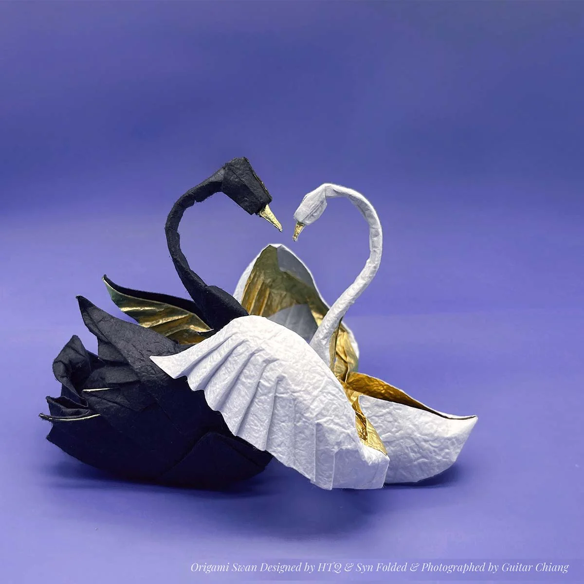 PACK DELUXE WASHI - Image 5