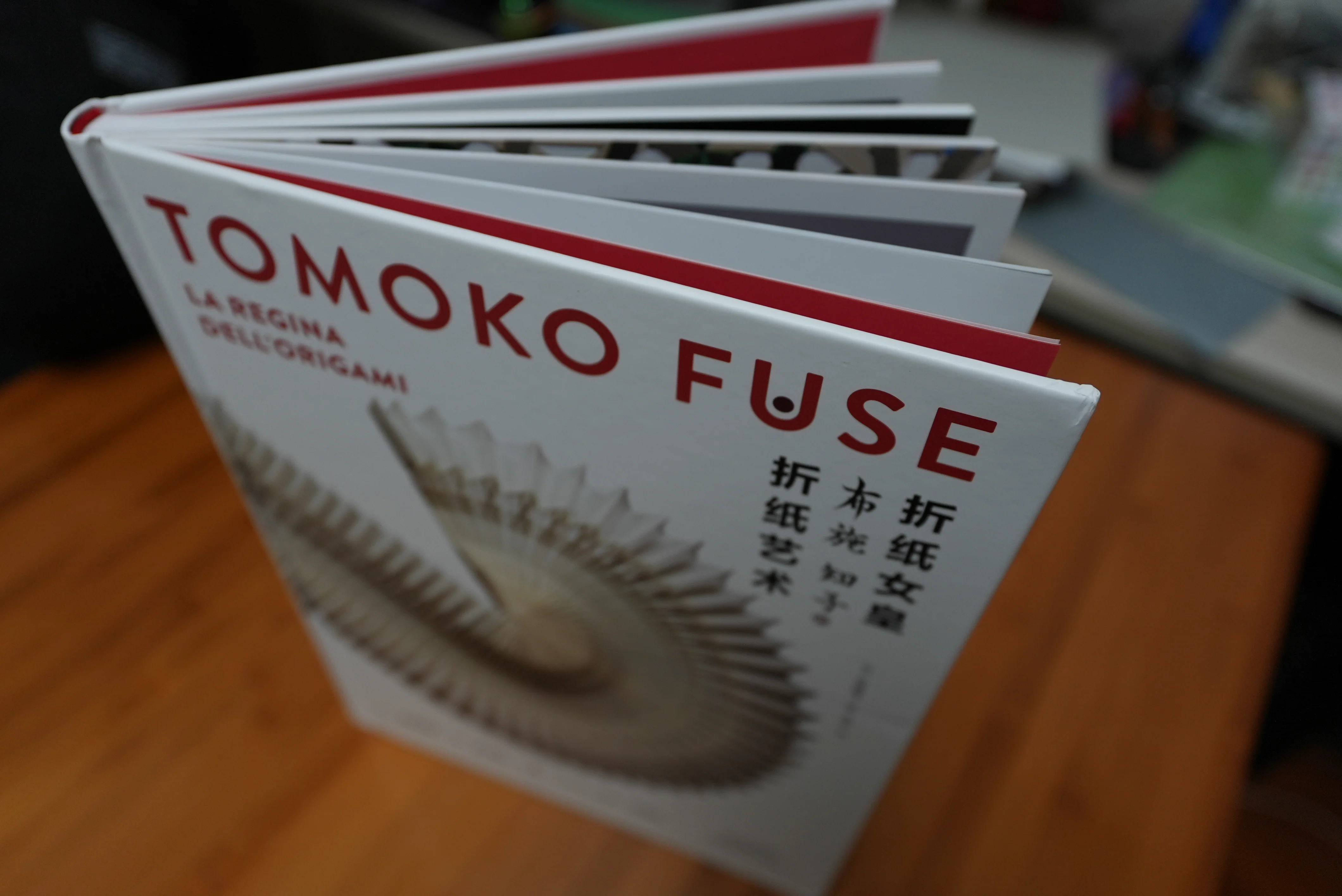 Tomoko Fuse's Origami Art: Works by a Modern Master ｜Hardcover - Image 12