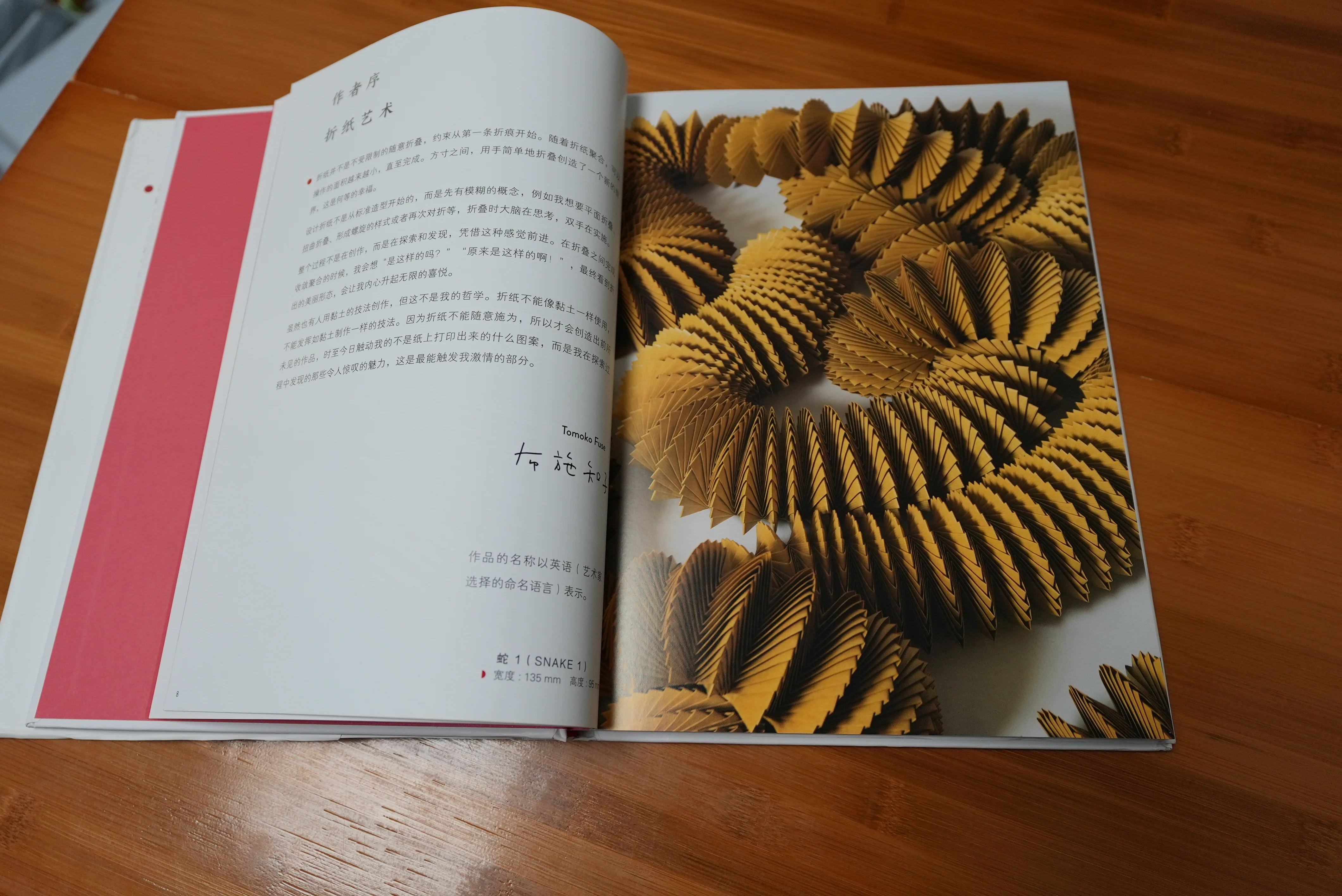 Tomoko Fuse's Origami Art: Works by a Modern Master ｜Hardcover - Image 4