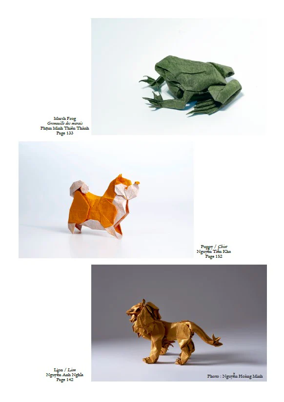 VOG3-VOL 12 VIETNAM ORIGAMI GROUP #3 - NEXT STEPS - Image 10