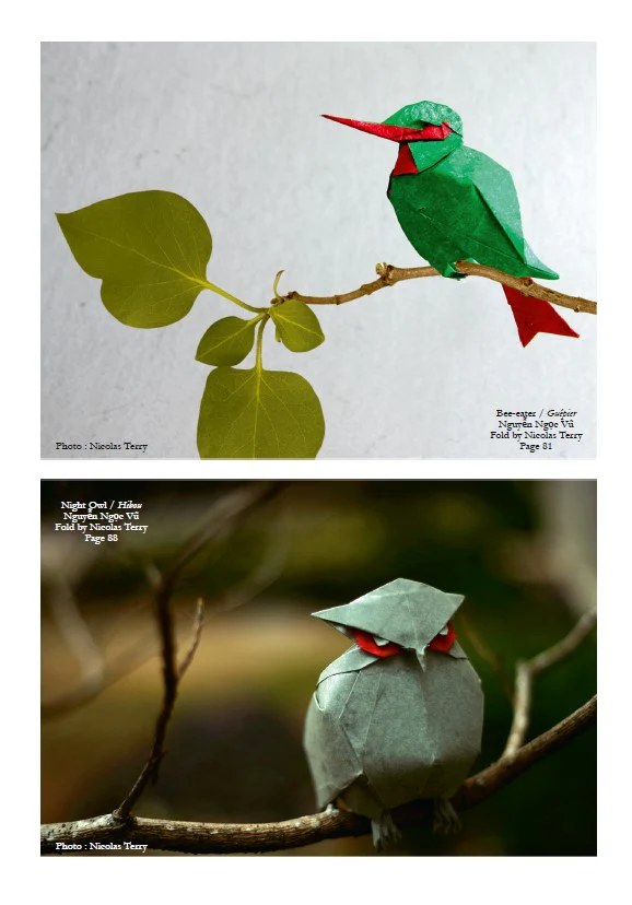 VOG3-VOL 12 VIETNAM ORIGAMI GROUP #3 - NEXT STEPS - Image 8